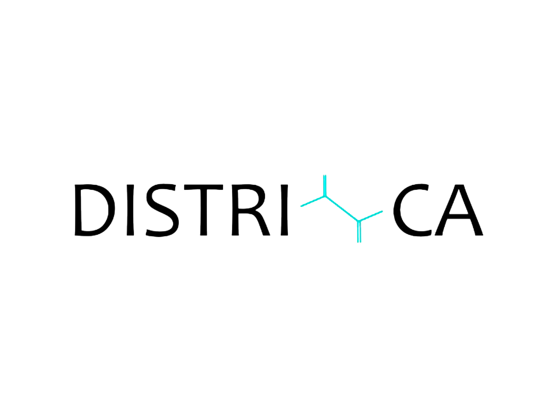 Districa srl